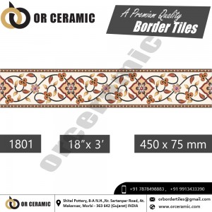 1801 Digital Border Tiles | OR Ceramic Morbi