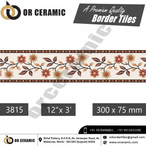 3815 Digital Border Tiles | OR Ceramic Morbi